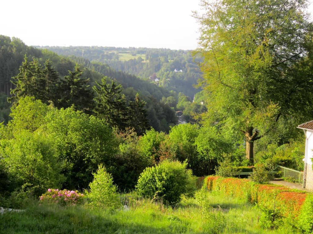 Het Groene Huis Моншау Экстерьер фото